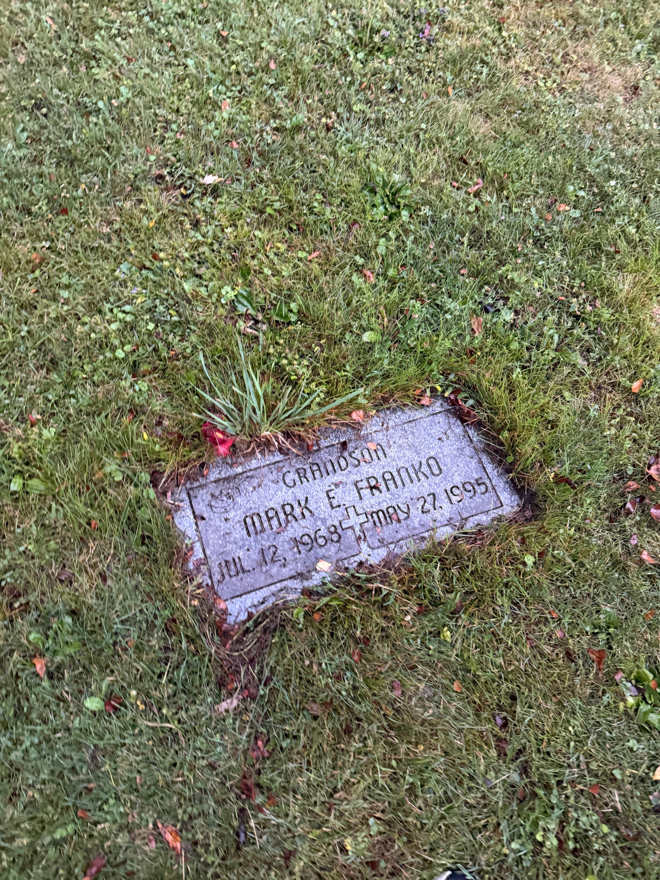 Mark Franko's grave marker, mostly buried under grass